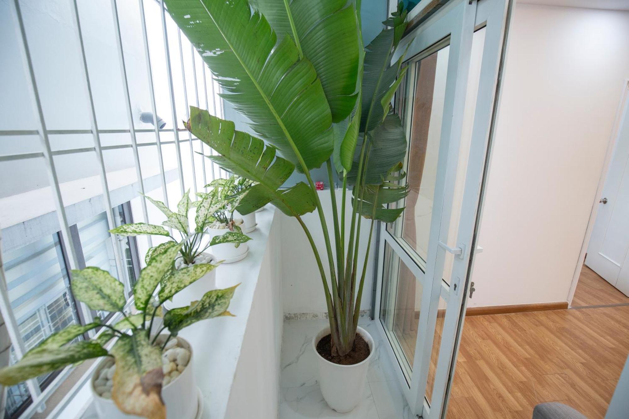Sumitomo 4 Serviced Apartments & Breakfast Ханой Экстерьер фото